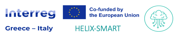 D3.3 Online Assessment Tool of Digital Skills and Smart Transition